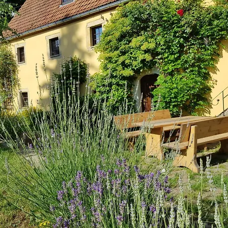 Дом отдыха Romantikhof Seitenhain
